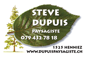 Steve Dupuis Paysagiste